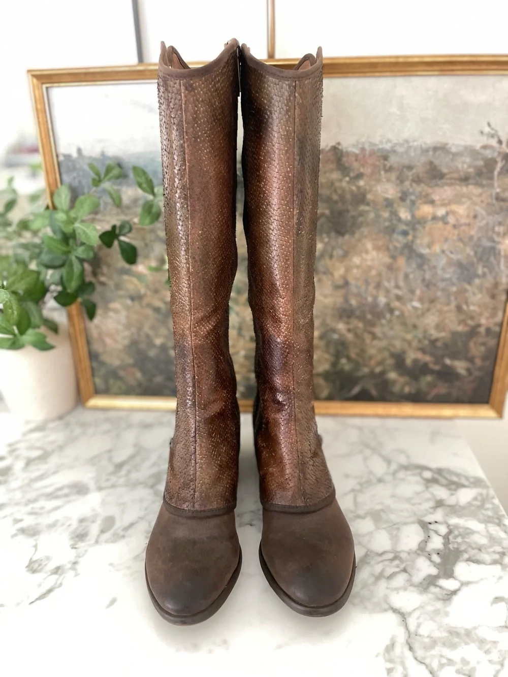 Donald Pliner Devi Brown Leather Snake Skin Distressed Knee High Boots Size 8